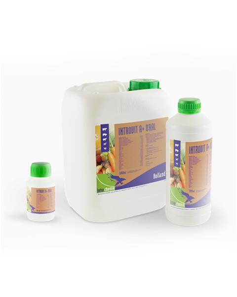 Introchick Oral susp. a 1000 ml