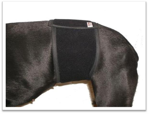 Pás brušný veľ.XL