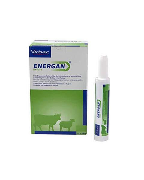 Energan Ketose pasta 12 x 300 g