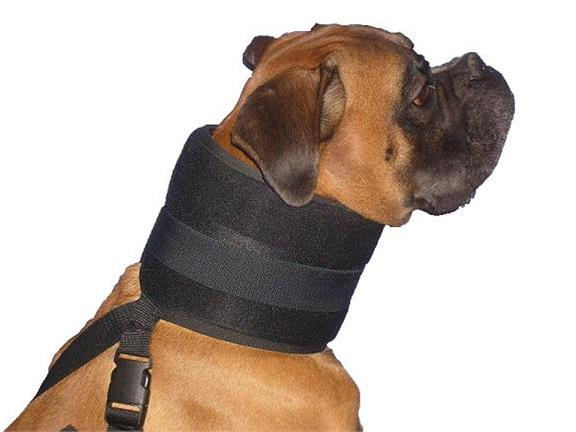 Golier ochranný bez kornútu veľ.9