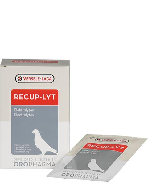 VL Holuby Recup-Lyt 240g - elektrolyty