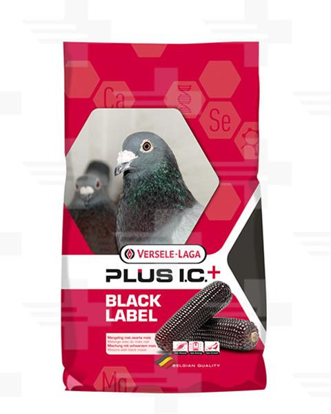 VL Holuby Black Label Gerry Plus I.C.+diéta s čiernou kukuricou 20 kg