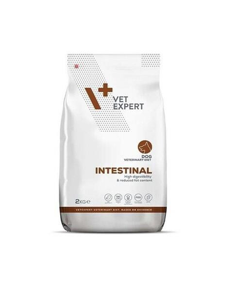 VetExpert VD dog 4T Intestinal 2 kg