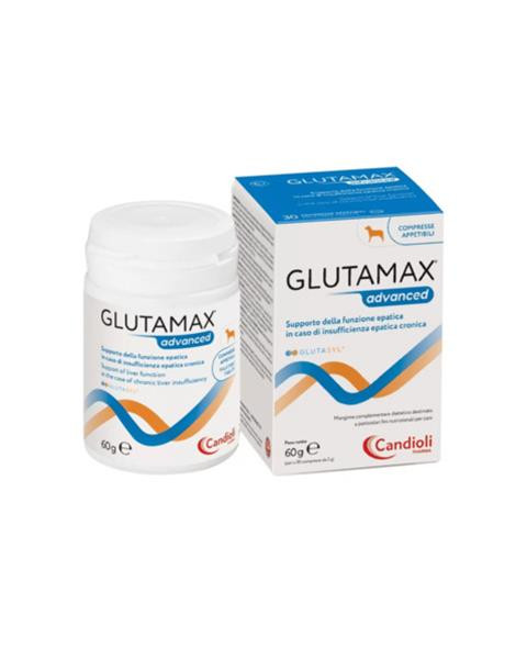 GlutaMax Advanced 12 x 10 tbl.