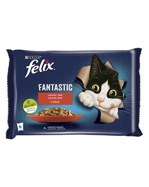 Nestlé FELIX Fantastic cat Multipack hovädzie&kura želé kapsička 4x85 g