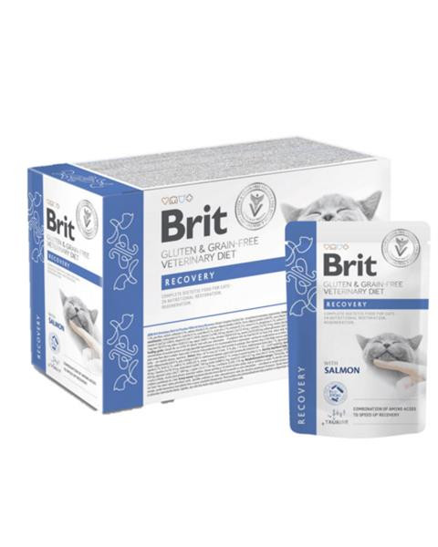 Brit VD Gluten & Grain-Free Cat Fillets in Gravy Recovery 12 x 85 g kapsičky