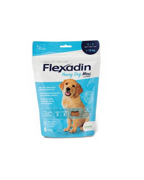 Flexadin Young Dog Maxi žuv.tbl.60 tbl.