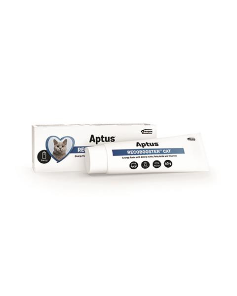 Aptus RECOBOOSTER CAT pasta 60 g