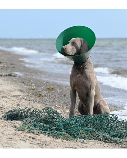 Golier ochranný BUSTER Green Ocean 25 cm 5 ks