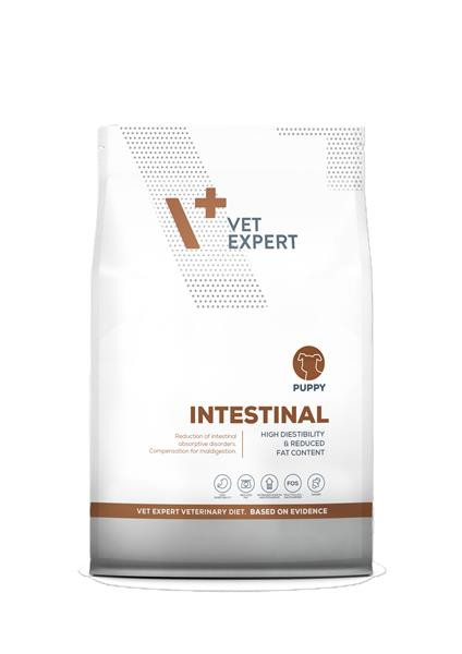 VetExpert VD puppy Intestinal 2 kg