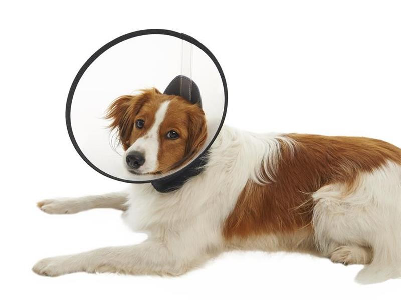 Golier ochranný BUSTER Premium M