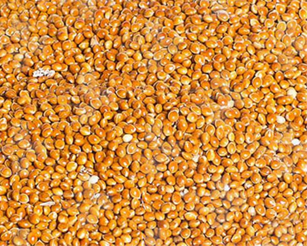 VL Proso žlté 25 kg