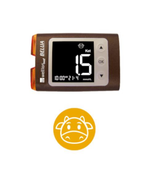 Glukomer&Keton WellionVet BELUA - Set