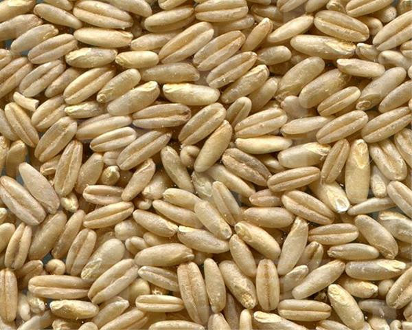 VL Ovos lúpaný 25 kg