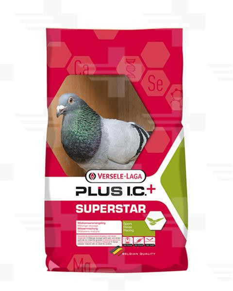 VL Holuby Superstar Plus I.C.+ vdovci 20 kg