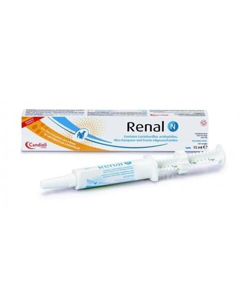 Renal N pasta 15 ml
