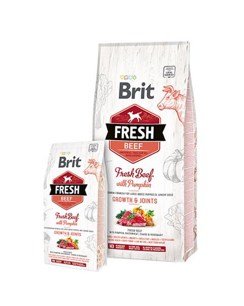BRIT Fresh Puppy Large hovädzie s tekvicou 12 kg