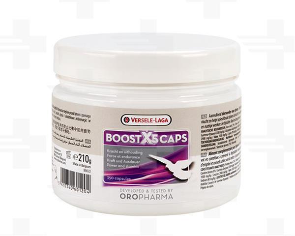 VL Holuby Boost X5 Caps 210g (350kapsul) - sila a vytrvalosť