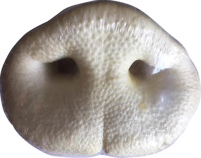 Pamlsok Jack bravčový rypák biely 1 ks