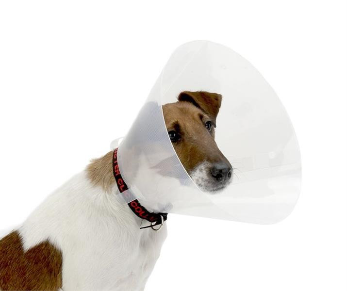 Golier ochranný Clic BUSTER 30 cm, 10 ks