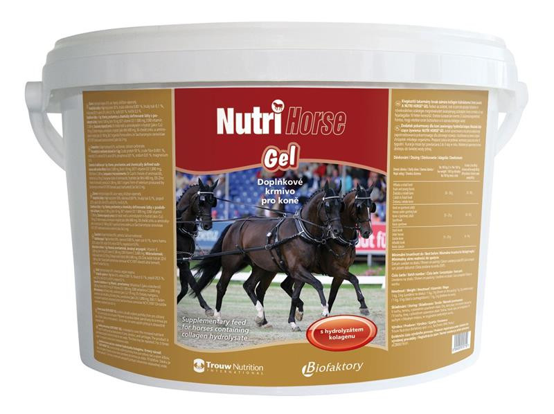 Nutri Horse Gelatin plv. 1 kg