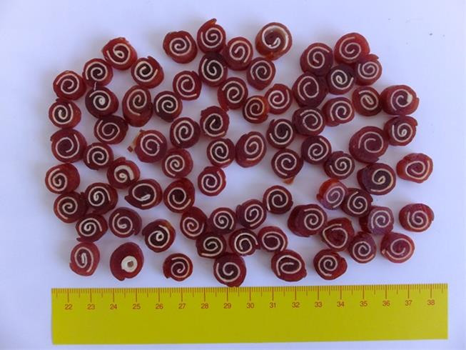 Pamlsok Salač Rolka kačica treska 100 g